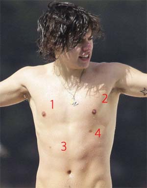 Harry Styles Four Nipples